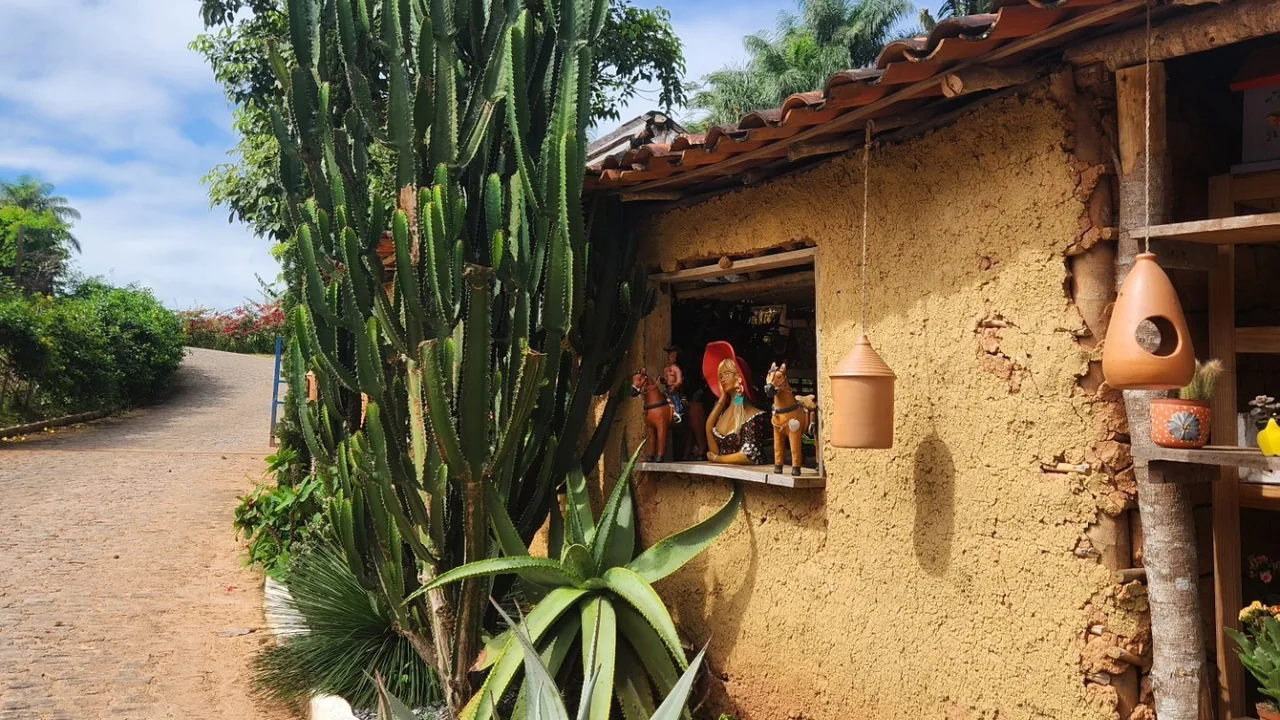 Alameda de cactos colunares ao lado da construção rústica do viveiro