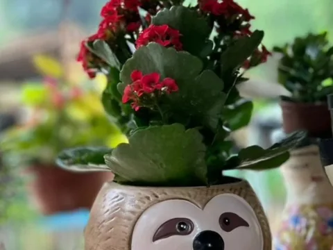 Cachepô em formato de bicho-preguiça com flores plantadas