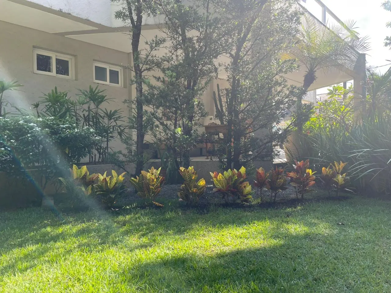 Jardim de residência com gramado formado e canteiro plantado