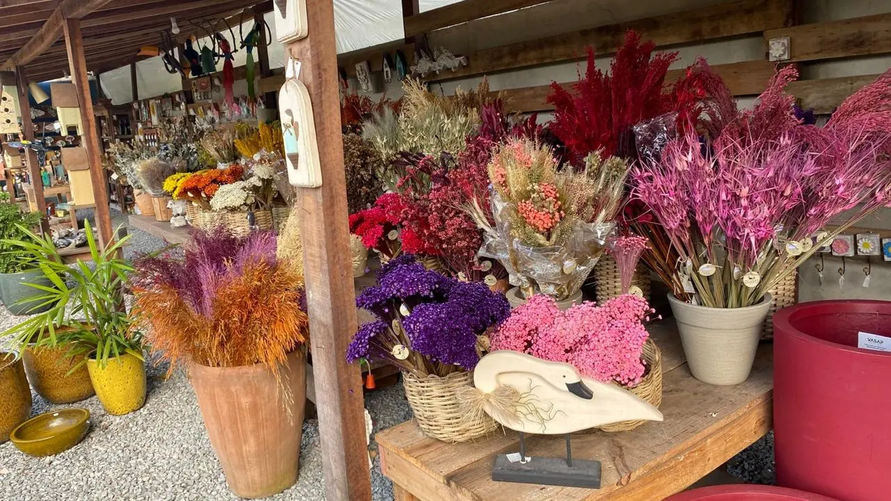 Balcão de flores secas e desidratadas coloridas na loja da Quati