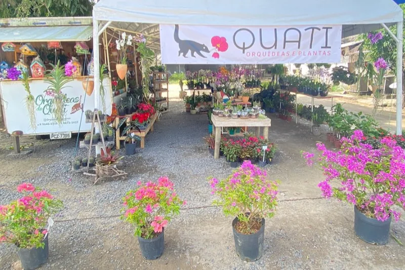 Estrutura da Quati com o letreiro da marca e plantas expostas
