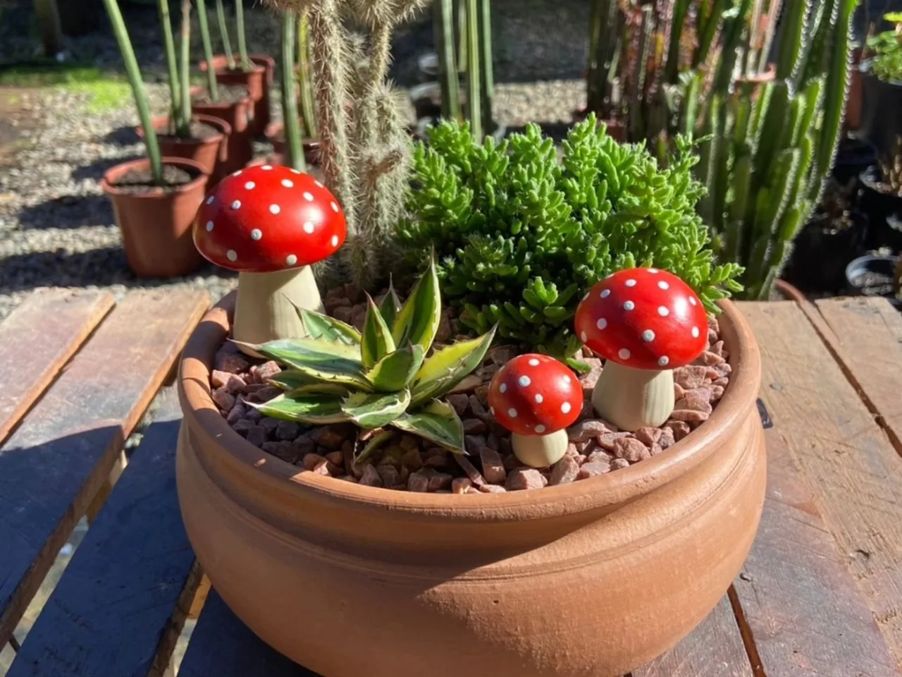 Terrário de suculentas em vaso de barro com cogumelos decorativos vermelhos