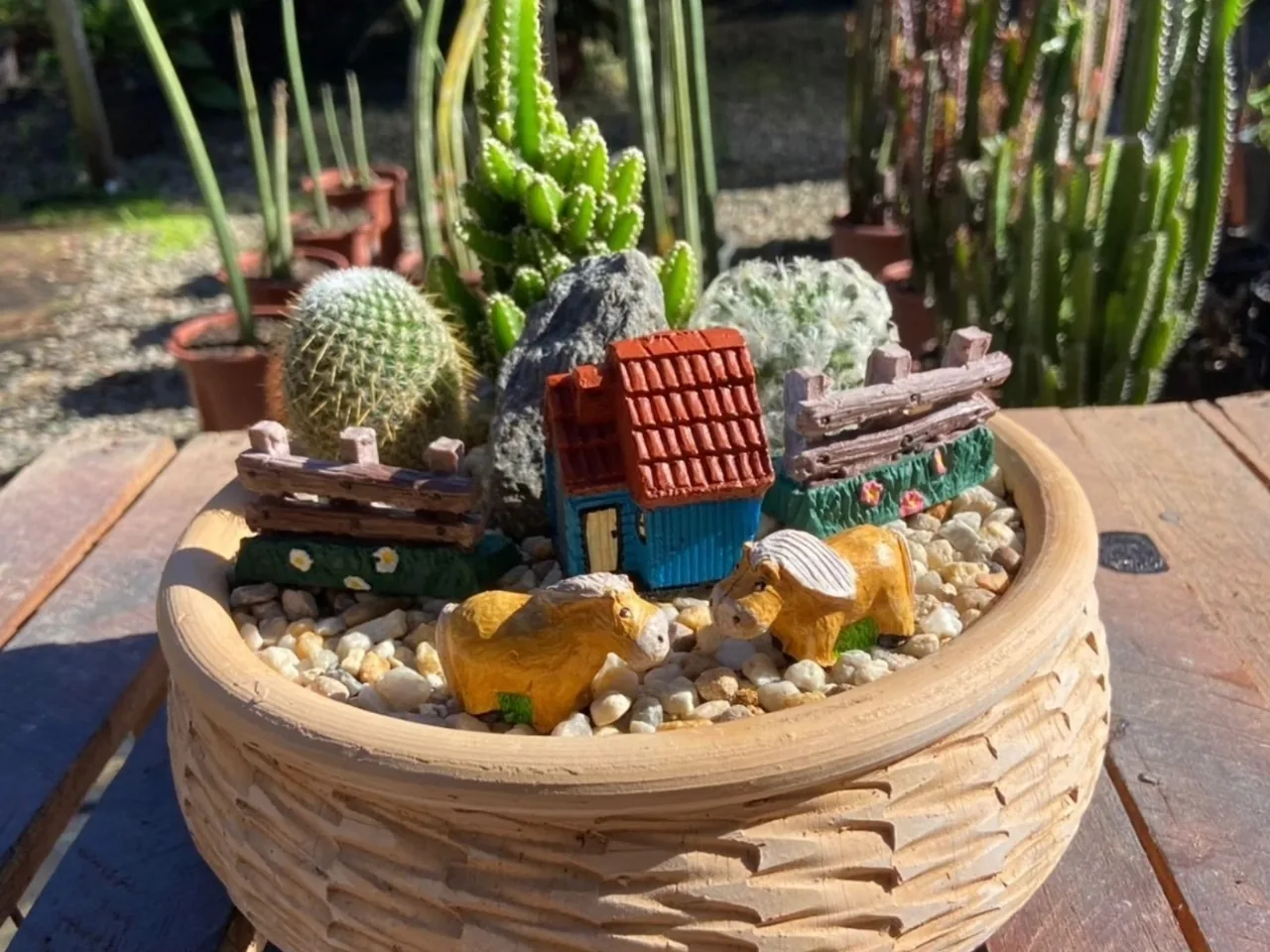 Terrário de cactos em vaso de palha com casinha, cerca e bichinhos em miniatura