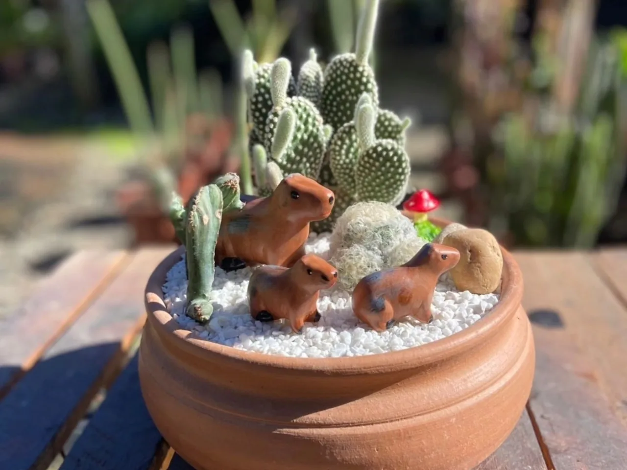 Terrário de cactos em vaso de barro com bichinhos em miniatura, montado pela Quati