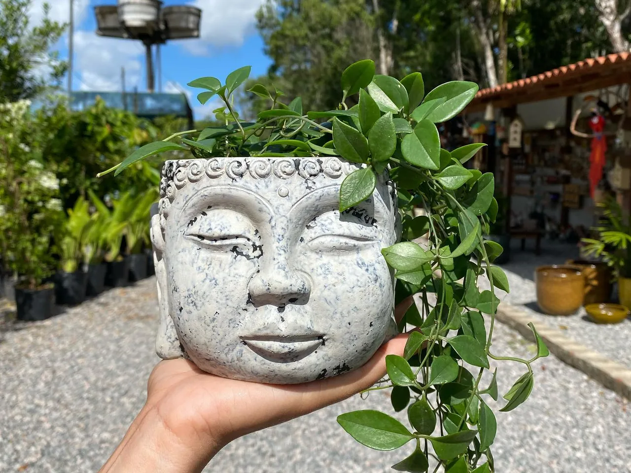 Cachepô de cimento em formato de rosto com planta pendente